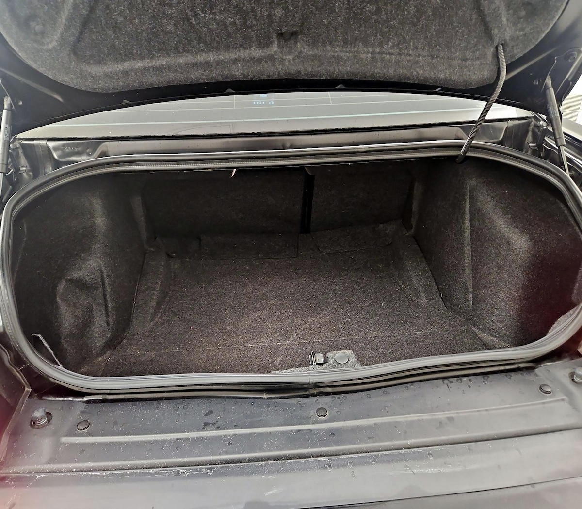 Trunk/Cargo (Seats Up)