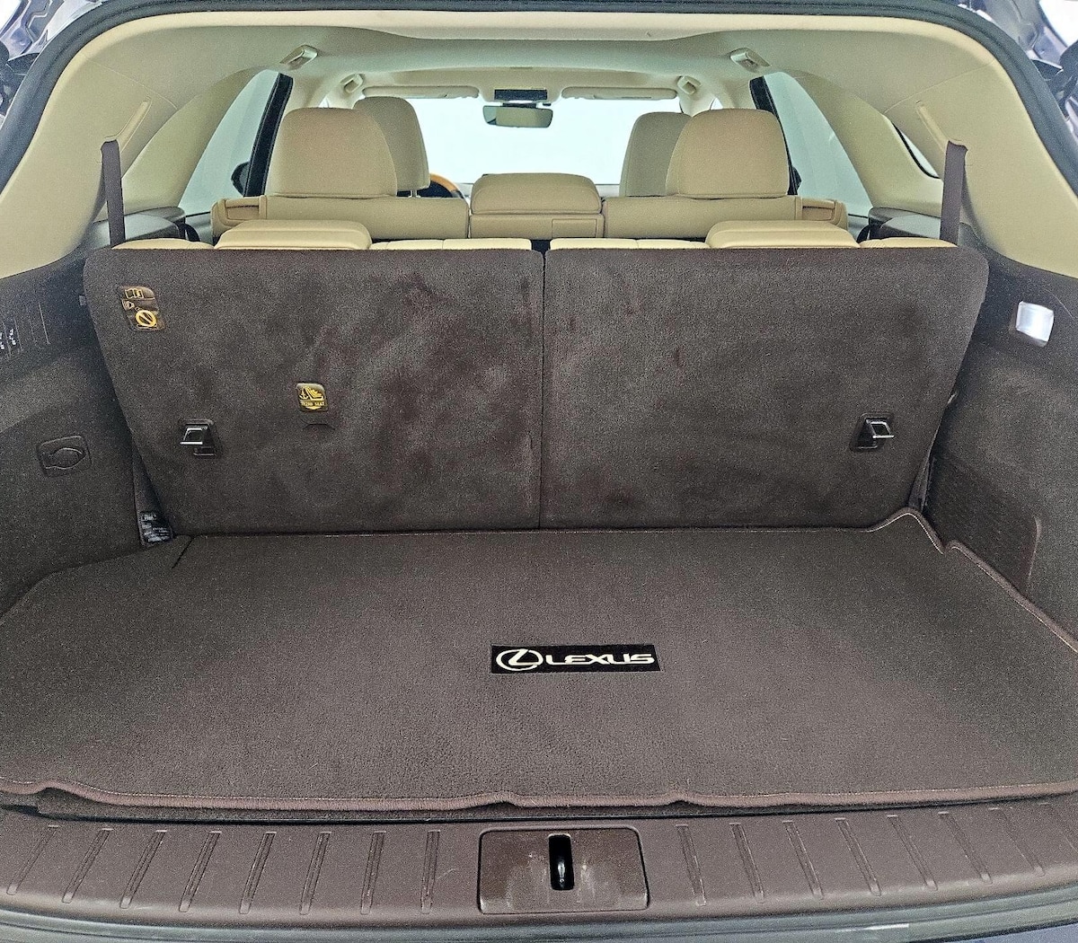 Trunk/Cargo (Seats Up)
