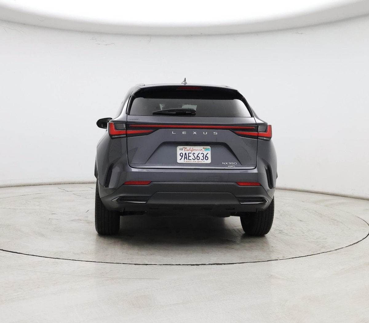 Rear