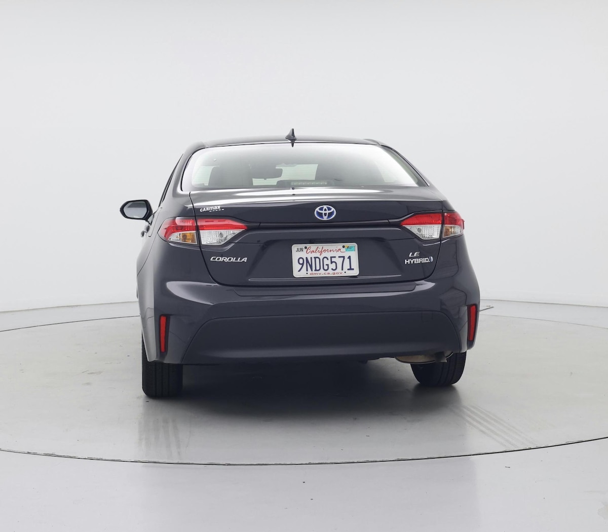 Rear