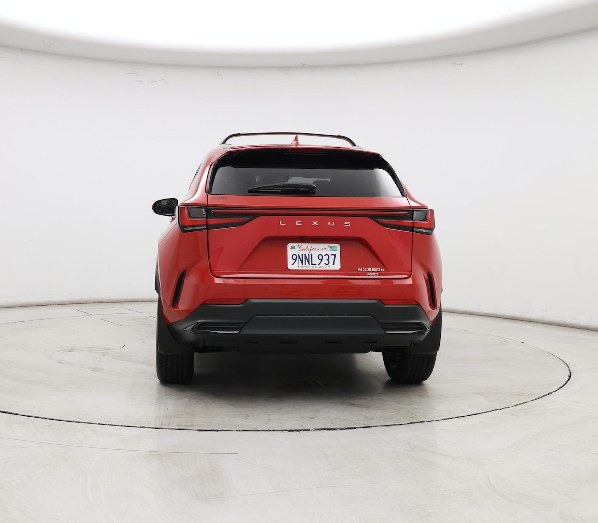 Rear